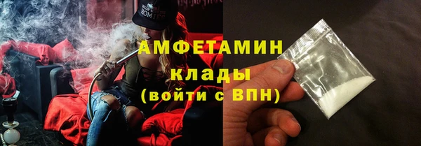шишки Новозыбков