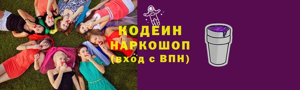 шишки Новозыбков