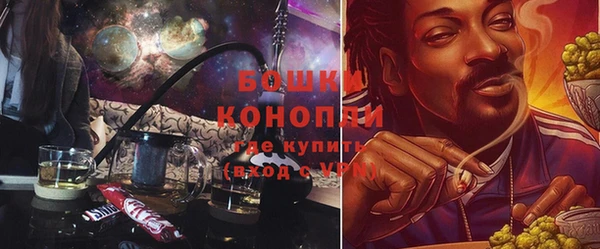шишки Новозыбков