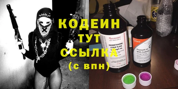 шишки Новозыбков