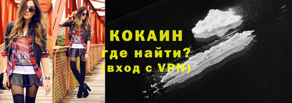 шишки Новозыбков