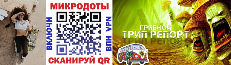 купить наркотик Пыталово kraken ссылки darknet Telegram Галлюциногенные грибы MAGIC MUSHROOMS